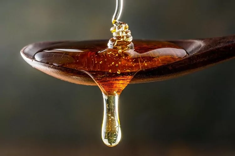 تشخیص عسل طبیعی از تقلبی با دانستن ویژگی‌های عسل طبیعی