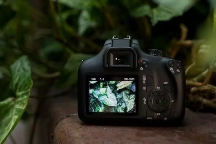 کیفیت تصویر Canon EOS 4000D